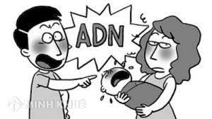 VKSND quận Đống Đa xây dựng kiến nghị phòng ngừa trong lĩnh vực hôn nhân và...